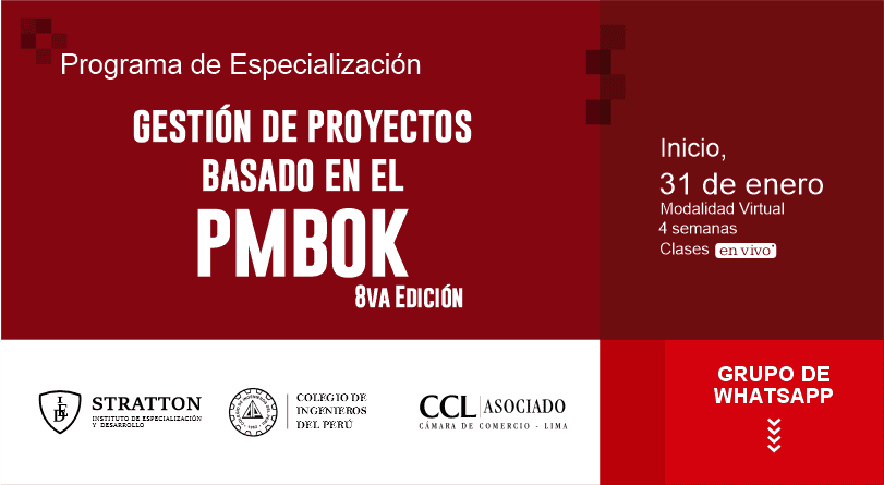lg Gestión de Proyectos Basado en el PMBOK 8va Edición – Instituto Stratton