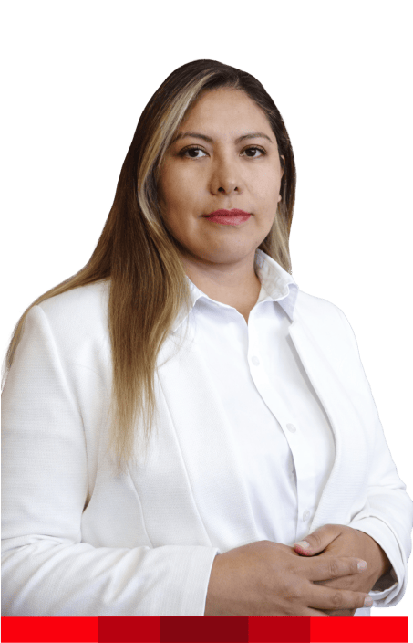 Ing. Veronica Viviana Cornejo